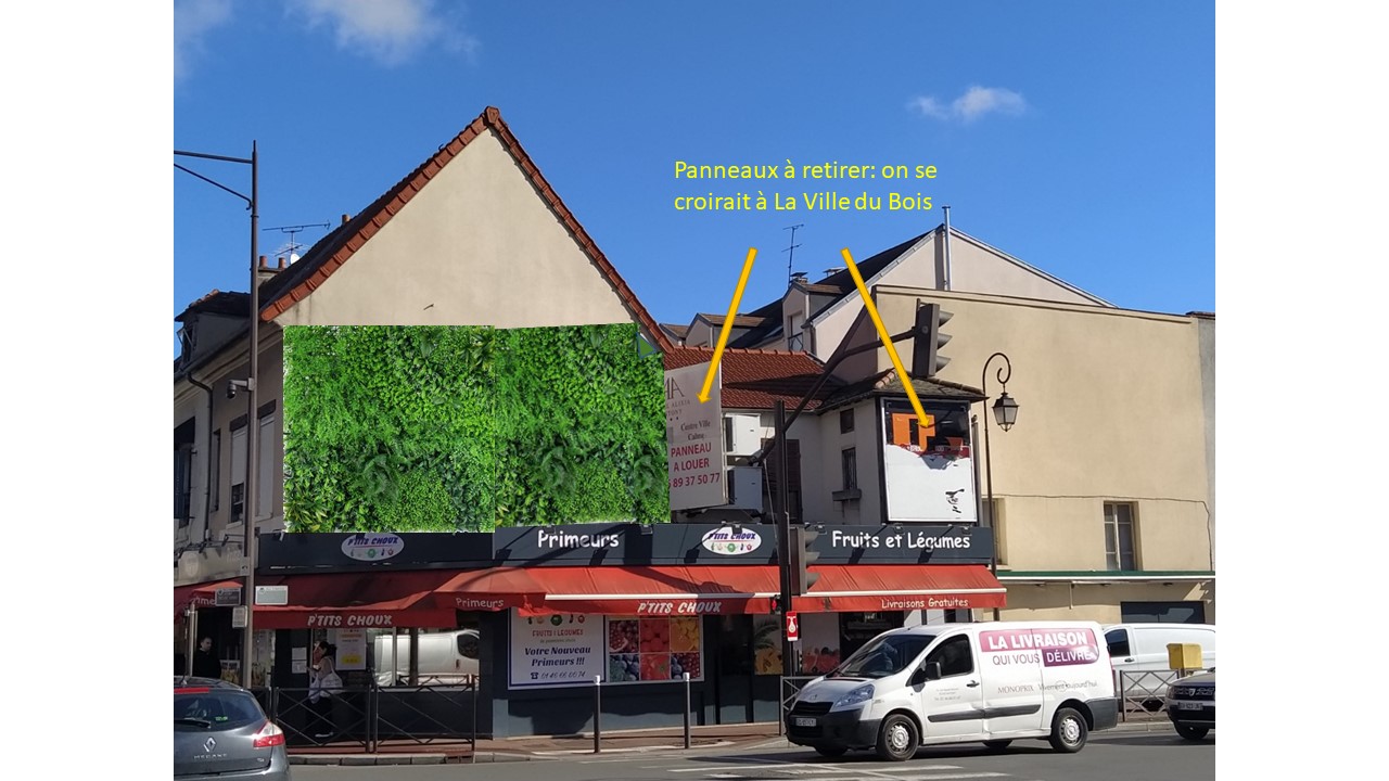 Contribution Revégétalisation de l’ Avenue Gabriel Péri et d